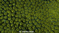 The textures of the sea. by James Laker 